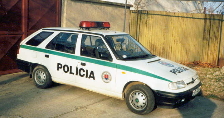 Skoda Felicia Combi.jpg